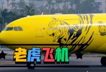 TP天竺王朝模拟器带你沉浸式体验古印度文明与权力更迭